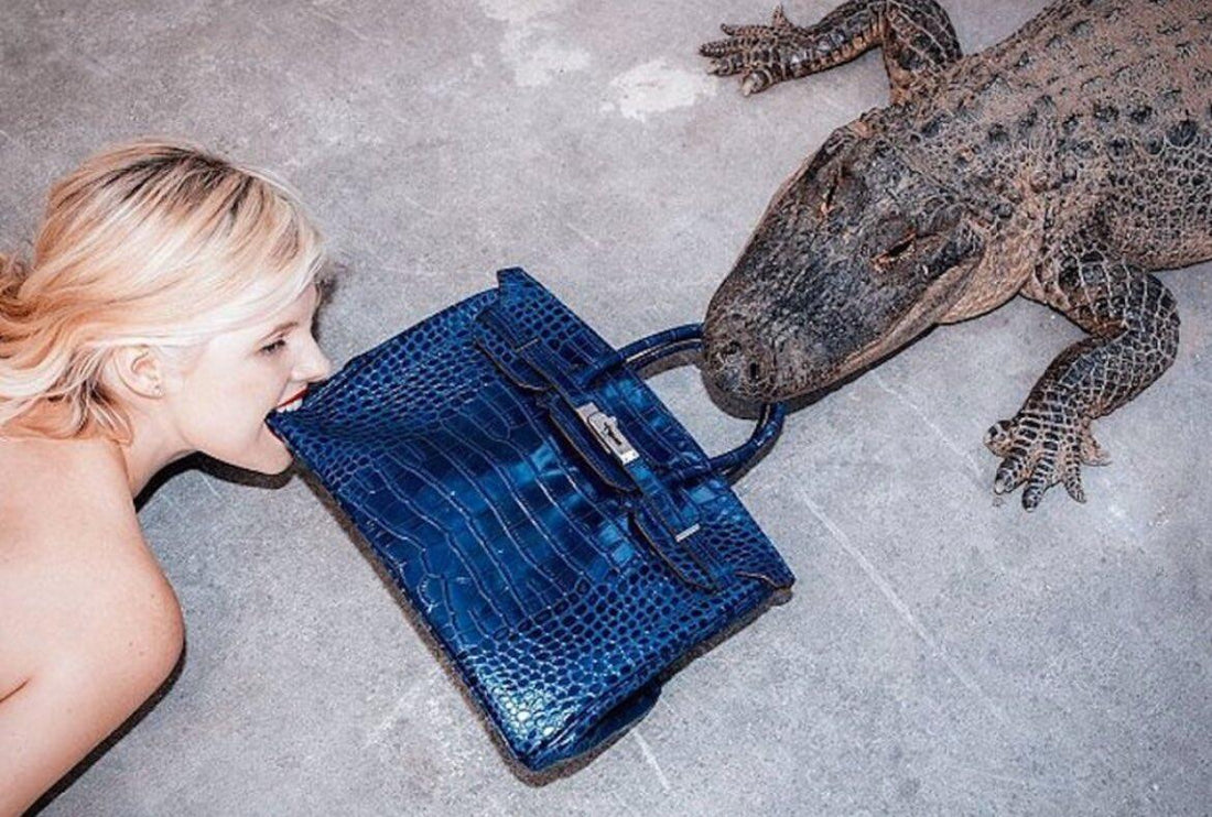 What Is the Average Price Range for a Crocodile Leather Bag? (2026 Full Guide)