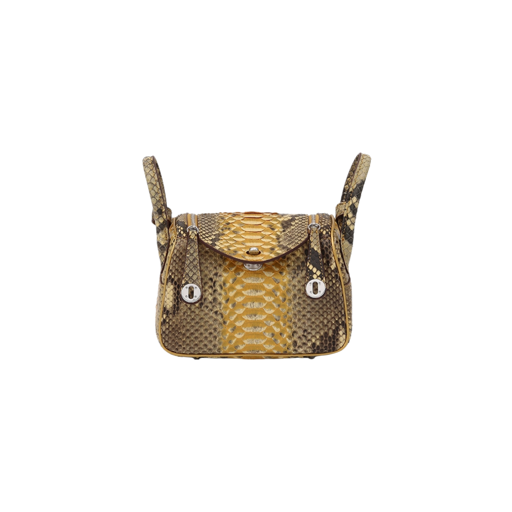 Genuine Python Snakeskin Mini Crossbody Bag | Luxury Handbag